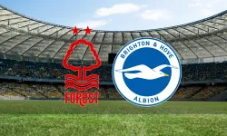 Nottingham Forest - Brighton maçı canlı izle!