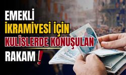 Emekli ikramiyesi için kulislerde konuşulan rakam!