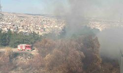 Çamlık alanda çıkan yangın panik yarattı