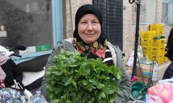 Ege'nin doğal lezzeti ısırgan otuna yoğun ilgi