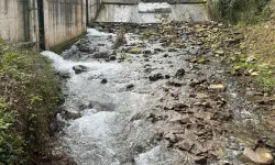 Sağlık Bakanlığı’ndan Yalova’daki su güvenliğine ilişkin açıklama