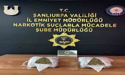 Narkotik operasyonunda 9 kilo 600 gram skunk ele geçirildi