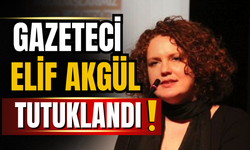 Gazeteci Elif Akgül tutuklandı!