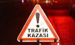 Ağaca çarparak devrilen araçta 5 yaralı