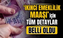 Tamamlayıcı Emeklilik Sistemi'ne ilişkin detaylar belli oldu