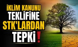 İklim kanunu teklifine STK'lardan tepki!