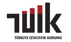 TÜİK, 2024 yılı 'Hizmetlere Erişim ve Ayrımcılık Modülü' verilerini paylaştı