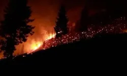 Trabzon’un Araklı ilçesinde yangın paniği