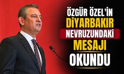 Özgür Özel'in Diyarbakır nevruzundaki mesajı okundu