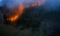 Giresun’da orman yangını meydana geldi