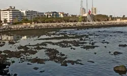 İskenderun'da deniz suyu 50 metre çekildi