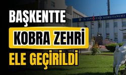 Başkentte kobra zehri ele geçirildi