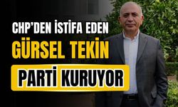 CHP'den istifa eden Gürsel Tekin parti kuruyor