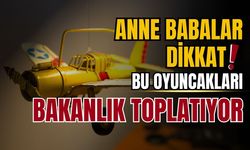 Bakanlık bu oyuncakları toplatma kararı aldı!