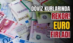 Euro güne rekorla başladı!