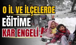 Birçok il ve ilçede eğitime kar engeli