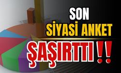 Saros Araştırma’dan dev anket!