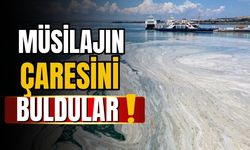 Müsilaj tehdidinin çaresi bulundu mu?