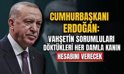 Cumhurbaşkanı Erdoğan: Her damla kanın hesabını verecekler