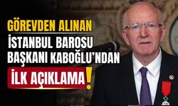 Görevden alınan İbrahim Kaboğlu'ndan ilk açıklama!