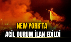 New York’ta orman yangınları nedeniyle acil durum ilan edildi