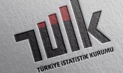 TÜİK, Türkiye'de çocukların sağlık ve yoksunluk durumu verilerini açıkladı