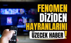 Fenomen dizi ekranlara veda ediyor