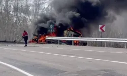 Yoldan çıkan tır alevlere teslim oldu