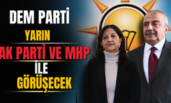 DEM Parti eş genel başkanları, mhp ve ak parti ile görüşecek