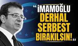 Avrupa Konseyi Parlamenter Meclisi'nden İmamoğlu açıklaması