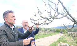 CHP Bursa Milletvekili Sarıbal: Çiftçinin zor yılı 2025, gıdada 'Yok yılı' olarak tarihe geçecek 