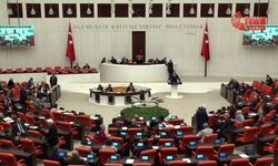 CHP'li Akdoğan: Tüm derdiniz, Cumhurbaşkanının bugün söylediği gibi, oturulan konforlu koltukların korunması