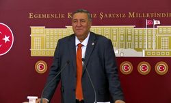 CHP'li Gürer'den limon ihracatı kararına tepki