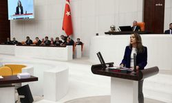 Gamze Akkuş İlgezdi: “Dava açılmayan cinsel istismar dosyaları endişelerimizi artırıyor”