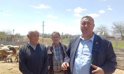 Ömer Fethi Gürer'in ziyaret ettiği üreticiler: "Bin 200 hayvanımız vardı, şimdi 30 kaldı"