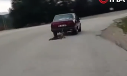 Sokak köpeği araba ile sürüklenerek adeta işkence edildi