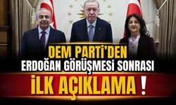 DEM Parti, Erdoğan görüşmesi ile ilgili açıklama yaptı