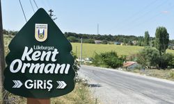 23. Hıdırellez Şenlikleri, 4 Mayıs’ta Lüleburgaz Kent Ormanı'nda