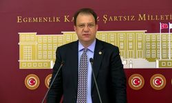 Ahmet Özer'in ilk duruşması yarın görülecek... CHP'li Alp: Nasıl olur da batı illerindeki Kürt vatandaşlarımızın temsil edilmeleri bir iddiaya, davaya konu olabilir?