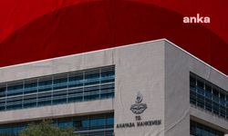 Anayasa Mahkemesi, sokak hayvanları yasasını 7 Mayıs Çarşamba günü esastan görüşecek