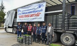 Ankara Büyükşehir Belediyesi'nden 25 ilçede 9 bin üreticiye sebze fidesi desteği