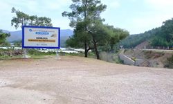 Antalya Büyükşehir Belediyesi, narenciye balını korumak için çalışma başlattı