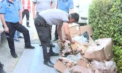 Antalya Büyükşehir Belediyesi, usulsüz şekilde taşınan 300 kilogram kerevit, 40 kilo mavi yengeç ele geçirdi 