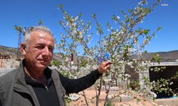 Antalya’da tarımsal sulama projeleriyle tersine göç hızlandı