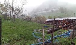 Artvin’in Ardanuç ilçesine bağlı Geçitli köyüne yağan kar, üreticiyi tedirgin etti