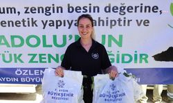 Aydın Büyükşehir Belediyesi Bozdoğan'da 25 bin fide dağıttı 