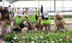 Aydın Büyükşehir Belediyesi fidanlığı öğrencileri ağırladı 