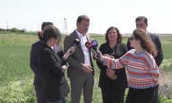 Aydın, Muğla, Denizli ve Manisa Büyükşehir Belediye Başkanları İmamoğlu'nu ziyaret etti