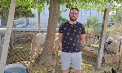 Aydın'da hayvancılık yapan Akçay: "Hiç bu sene kadar zor bir sene olmadı"