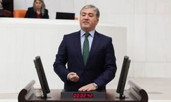AYM'nin, Hayvanları Koruma Yasası'nın iptal istemini reddetmesi... Murat Emir: "Halkın iktidarını kurduğumuzda ilk adımlarımızdan biri bu katliam yasasını iptal etmek olacak"
